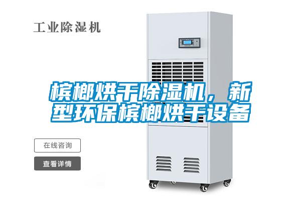 檳榔烘干除濕機(jī)，新型環(huán)保檳榔烘干設(shè)備