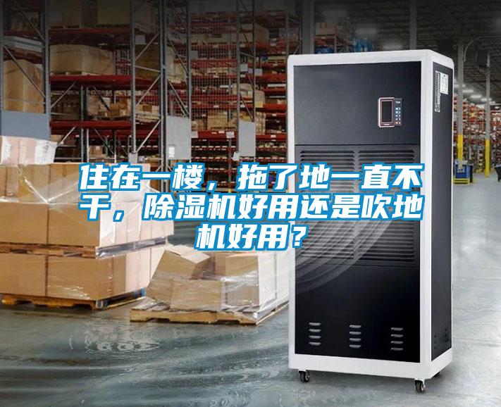 住在一樓，拖了地一直不干，除濕機(jī)好用還是吹地機(jī)好用？