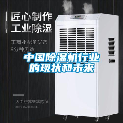 中國除濕機(jī)行業(yè)的現(xiàn)狀和未來