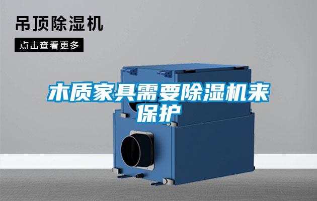 木質(zhì)家具需要除濕機(jī)來保護(hù)
