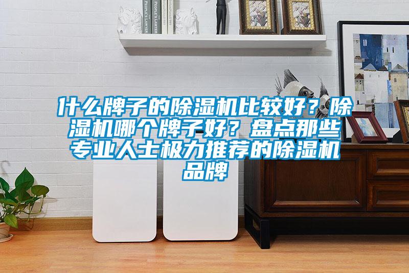 什么牌子的除濕機(jī)比較好？除濕機(jī)哪個牌子好？盤點那些專業(yè)人士極力推薦的除濕機(jī)品牌