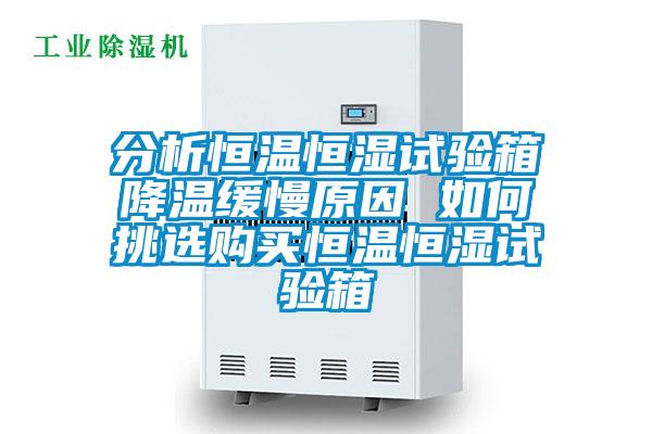 分析恒溫恒濕試驗(yàn)箱降溫緩慢原因 如何挑選購(gòu)買恒溫恒濕試驗(yàn)箱