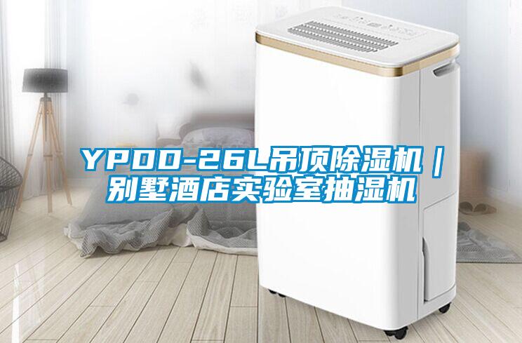 YPDD-26L吊頂除濕機｜別墅酒店實驗室抽濕機
