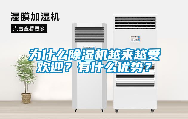 為什么除濕機(jī)越來(lái)越受歡迎？有什么優(yōu)勢(shì)？