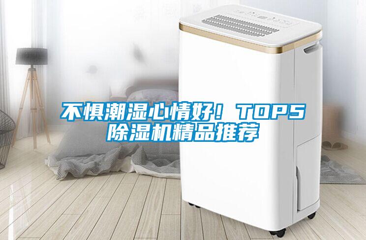 不懼潮濕心情好！TOP5除濕機精品推薦