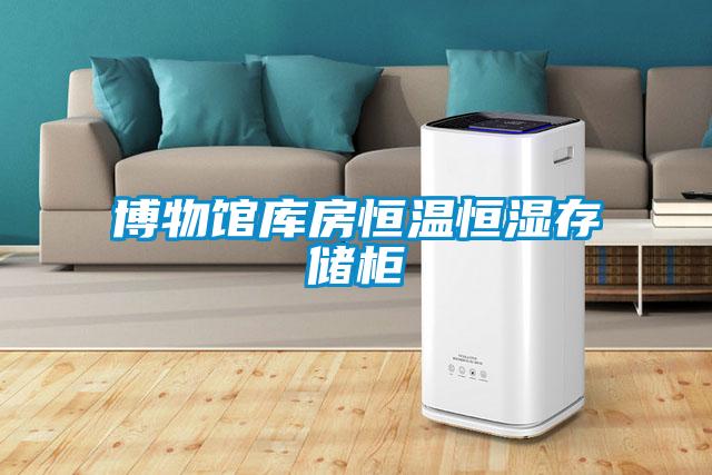 博物館庫房恒溫恒濕存儲柜