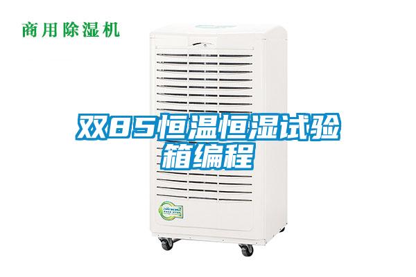 雙85恒溫恒濕試驗箱編程