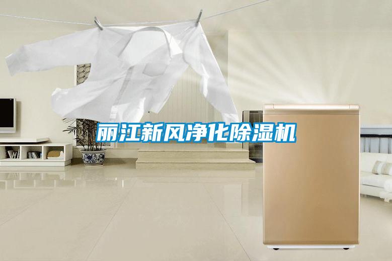 麗江新風(fēng)凈化除濕機(jī)