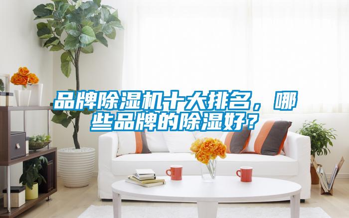 品牌除濕機十大排名，哪些品牌的除濕好？