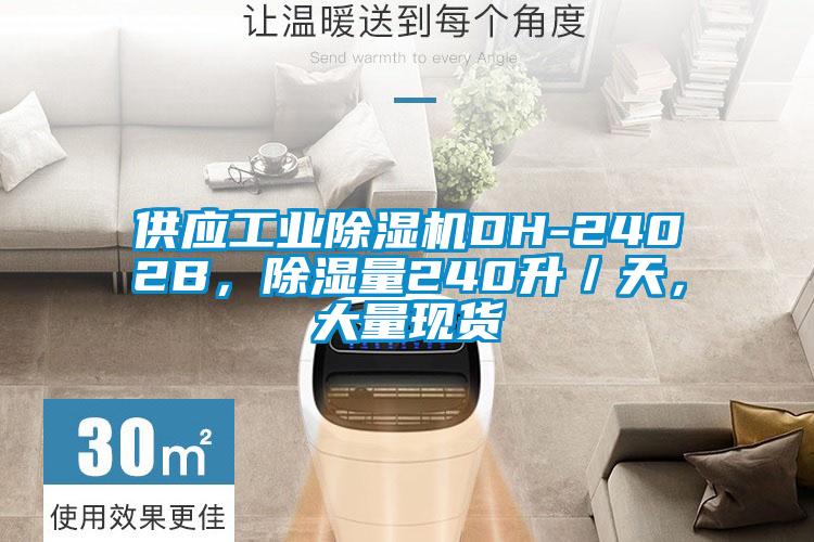 供應(yīng)工業(yè)除濕機(jī)DH-2402B，除濕量240升／天，大量現(xiàn)貨