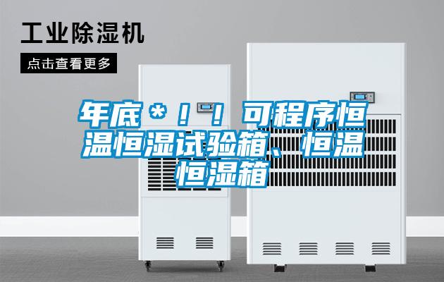 年底＊！！可程序恒溫恒濕試驗(yàn)箱、恒溫恒濕箱