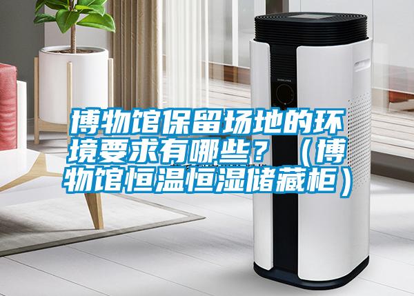 博物館保留場(chǎng)地的環(huán)境要求有哪些？（博物館恒溫恒濕儲(chǔ)藏柜）
