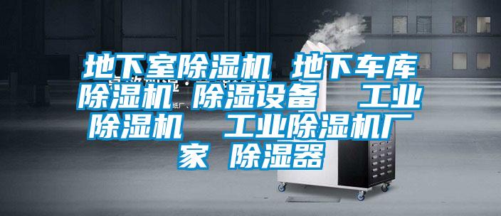 地下室除濕機 地下車庫除濕機 除濕設(shè)備  工業(yè)除濕機  工業(yè)除濕機廠家 除濕器