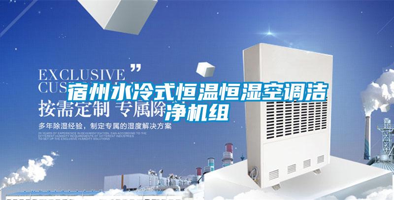 宿州水冷式恒溫恒濕空調(diào)潔凈機組