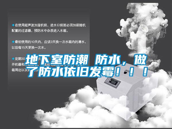 地下室防潮≠防水，做了防水依舊發(fā)霉?。?！