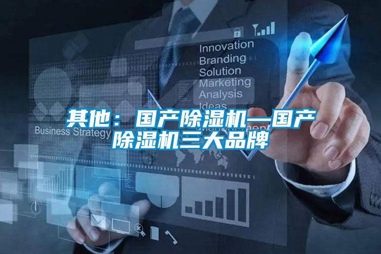 其他：國產(chǎn)除濕機—國產(chǎn)除濕機三大品牌