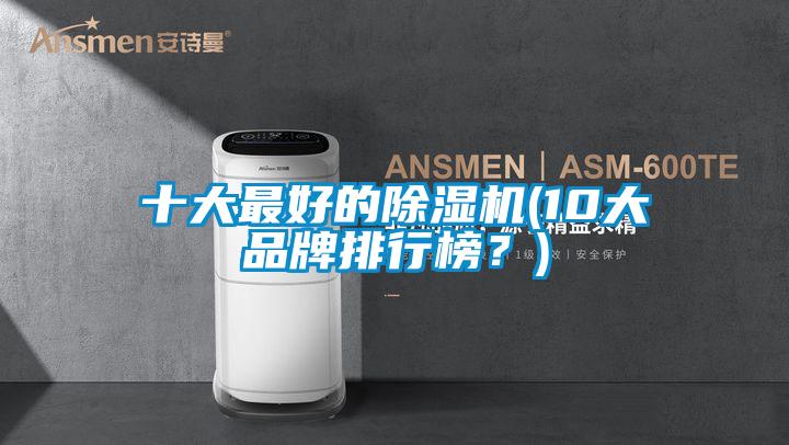 十大最好的除濕機(jī)(10大品牌排行榜？)