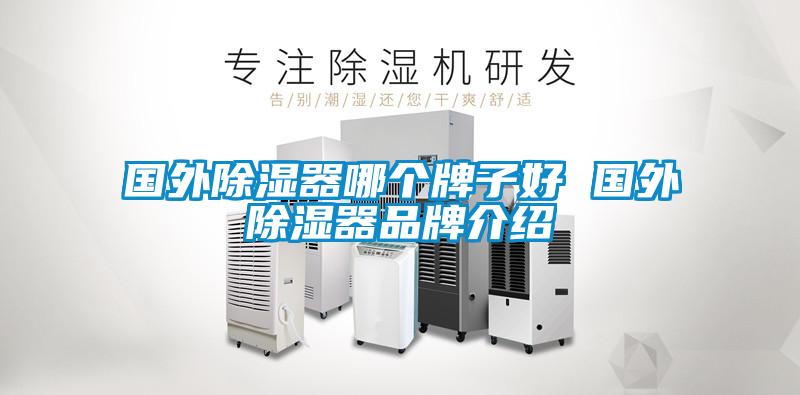 國(guó)外除濕器哪個(gè)牌子好 國(guó)外除濕器品牌介紹