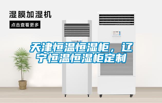 天津恒溫恒濕柜，遼寧恒溫恒濕柜定制