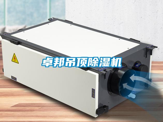 卓邦吊頂除濕機(jī)