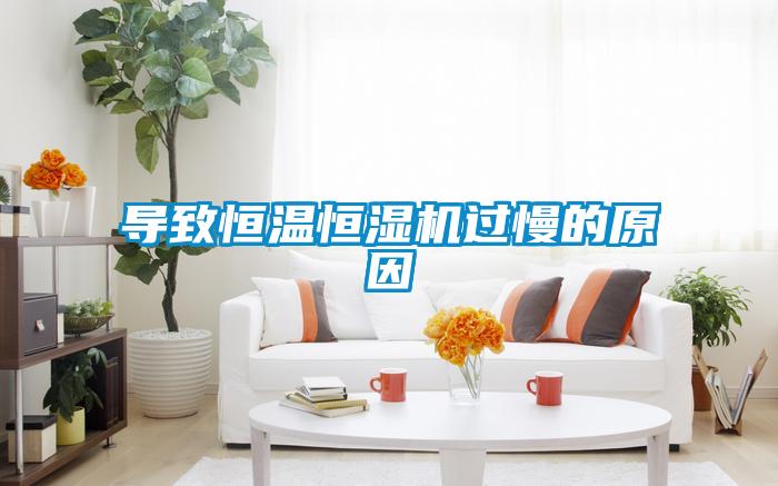 導(dǎo)致恒溫恒濕機過慢的原因
