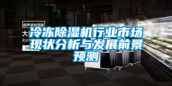 冷凍除濕機(jī)行業(yè)市場(chǎng)現(xiàn)狀分析與發(fā)展前景預(yù)測(cè)