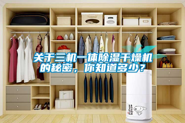 關(guān)于三機(jī)一體除濕干燥機(jī)的秘密，你知道多少？