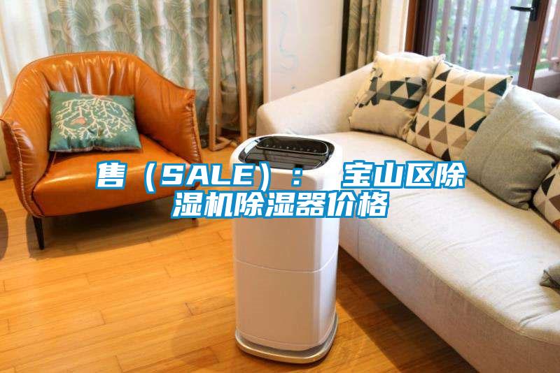 售（SALE）： 寶山區(qū)除濕機除濕器價格