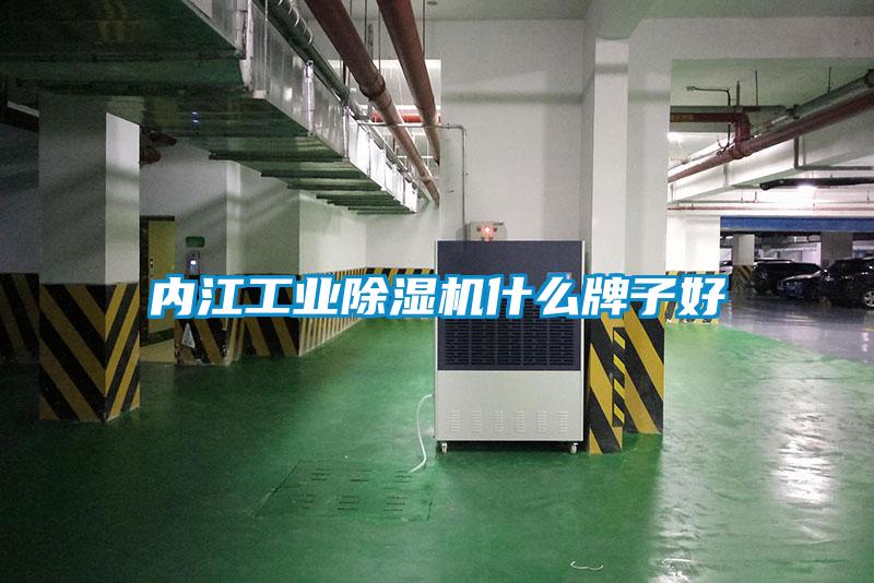 內(nèi)江工業(yè)除濕機什么牌子好