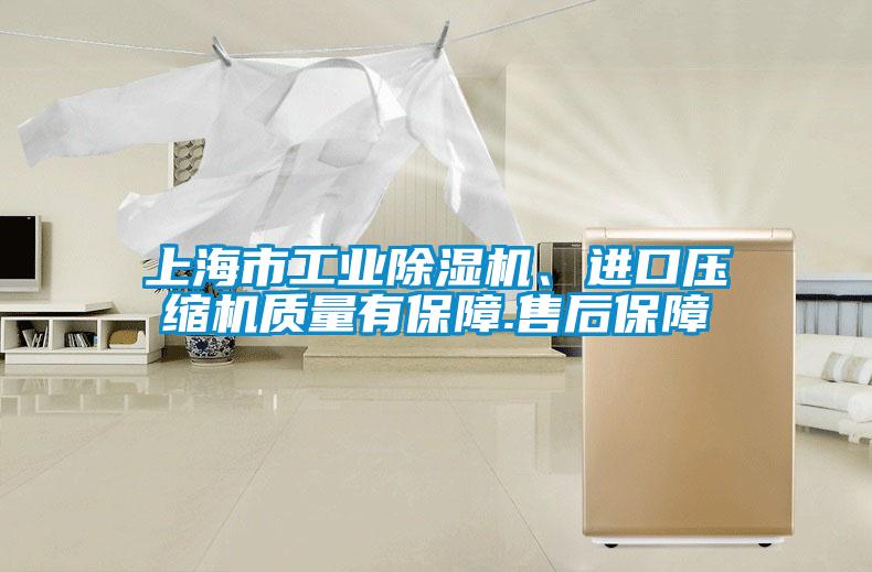 上海市工業(yè)除濕機、進口壓縮機質(zhì)量有保障.售后保障