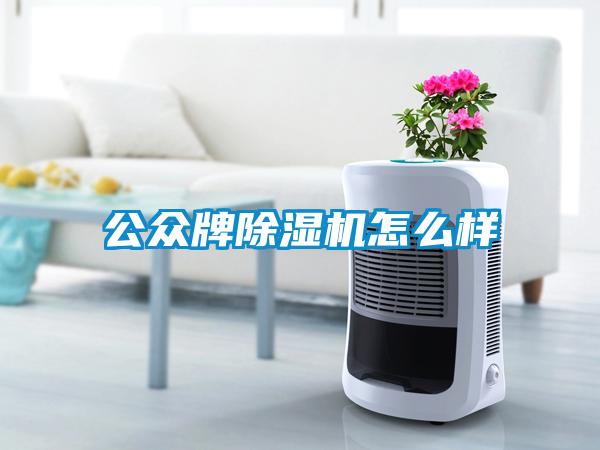 公眾牌除濕機(jī)怎么樣