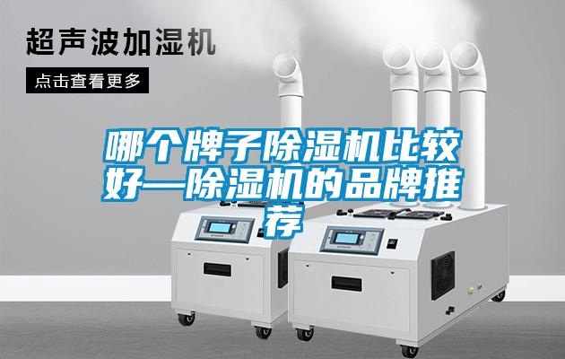 哪個牌子除濕機(jī)比較好—除濕機(jī)的品牌推薦