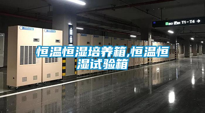 恒溫恒濕培養(yǎng)箱,恒溫恒濕試驗箱