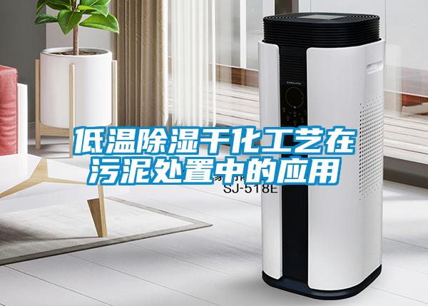 低溫除濕干化工藝在污泥處置中的應用