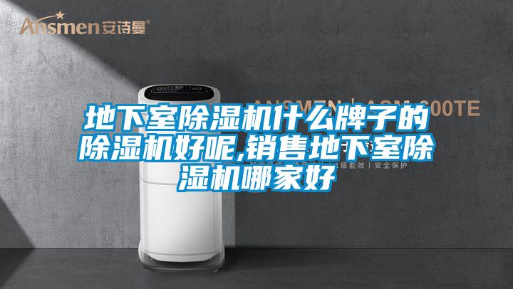 地下室除濕機(jī)什么牌子的除濕機(jī)好呢,銷售地下室除濕機(jī)哪家好