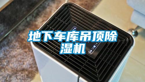 地下車庫(kù)吊頂除濕機(jī)