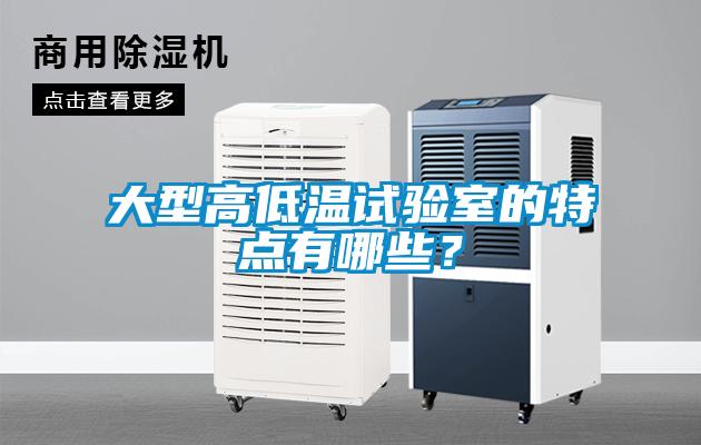 大型高低溫試驗室的特點有哪些？