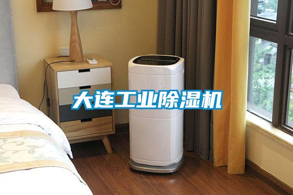 大連工業(yè)除濕機
