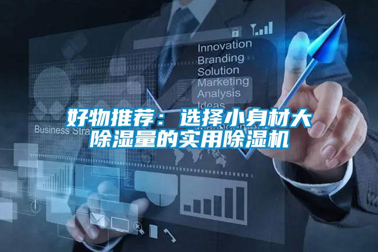 好物推薦：選擇小身材大除濕量的實用除濕機(jī)