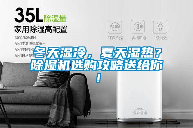 冬天濕冷，夏天濕熱？除濕機選購攻略送給你！