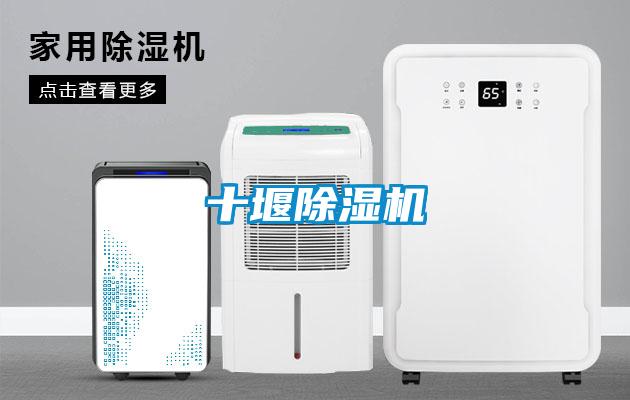 十堰除濕機(jī)