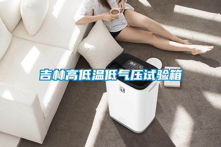 吉林高低溫低氣壓試驗箱