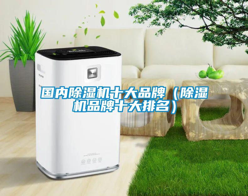 國(guó)內(nèi)除濕機(jī)十大品牌（除濕機(jī)品牌十大排名）