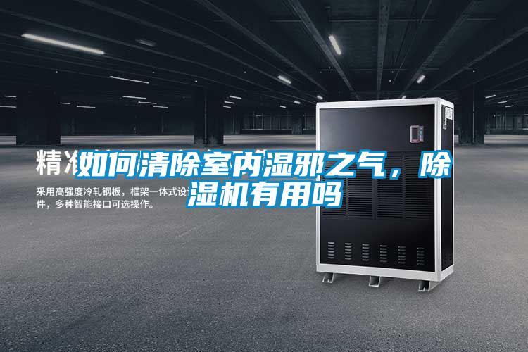 如何清除室內(nèi)濕邪之氣，除濕機(jī)有用嗎
