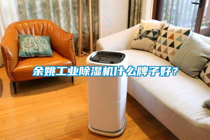 余姚工業(yè)除濕機(jī)什么牌子好？