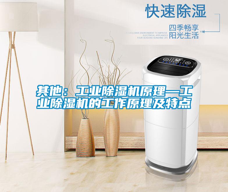 其他：工業(yè)除濕機原理—工業(yè)除濕機的工作原理及特點