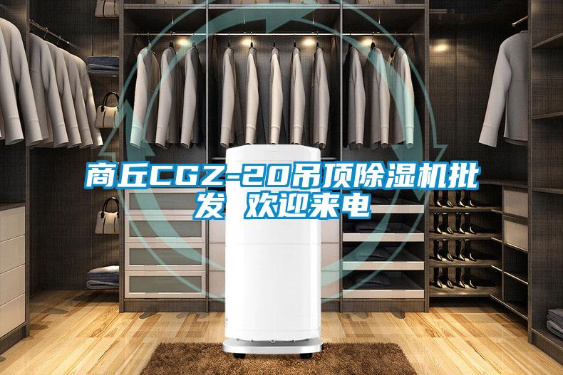商丘CGZ-20吊頂除濕機批發(fā) 歡迎來電