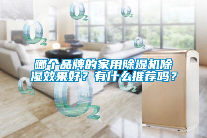 哪個品牌的家用除濕機除濕效果好？有什么推薦嗎？