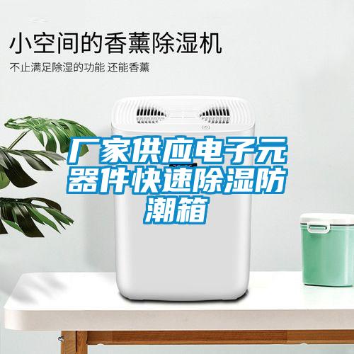 廠家供應(yīng)電子元器件快速除濕防潮箱
