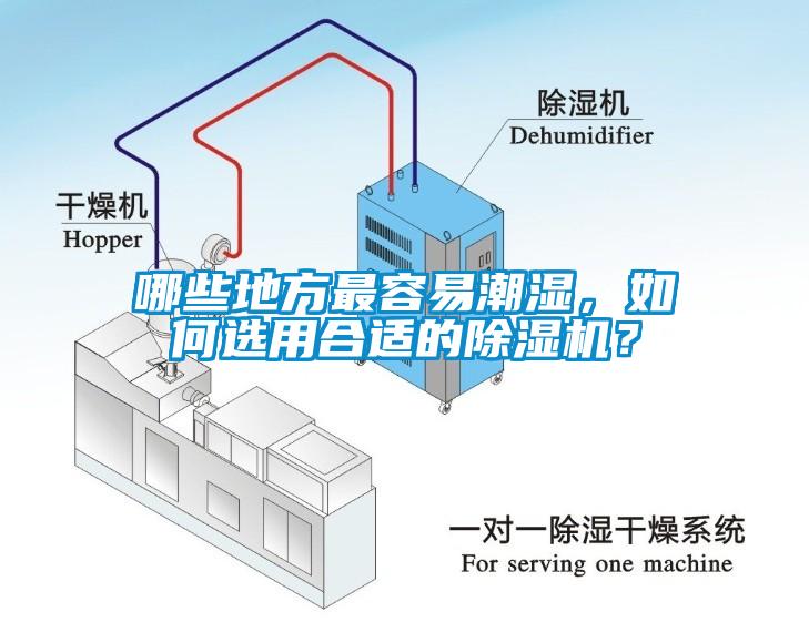 哪些地方最容易潮濕，如何選用合適的除濕機？